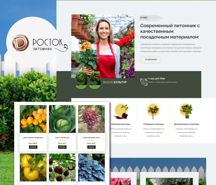 Rostok – сайт питомника растений Dle 15.2